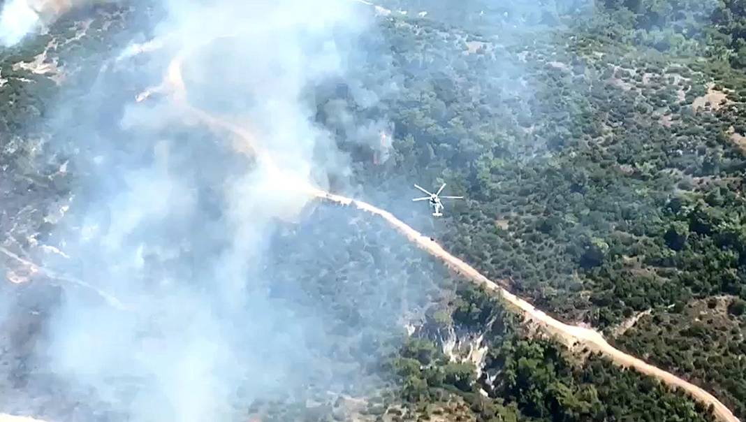 Manisa'da çıkan orman yangınında dumanlar İzmir'e ilerliyor 9